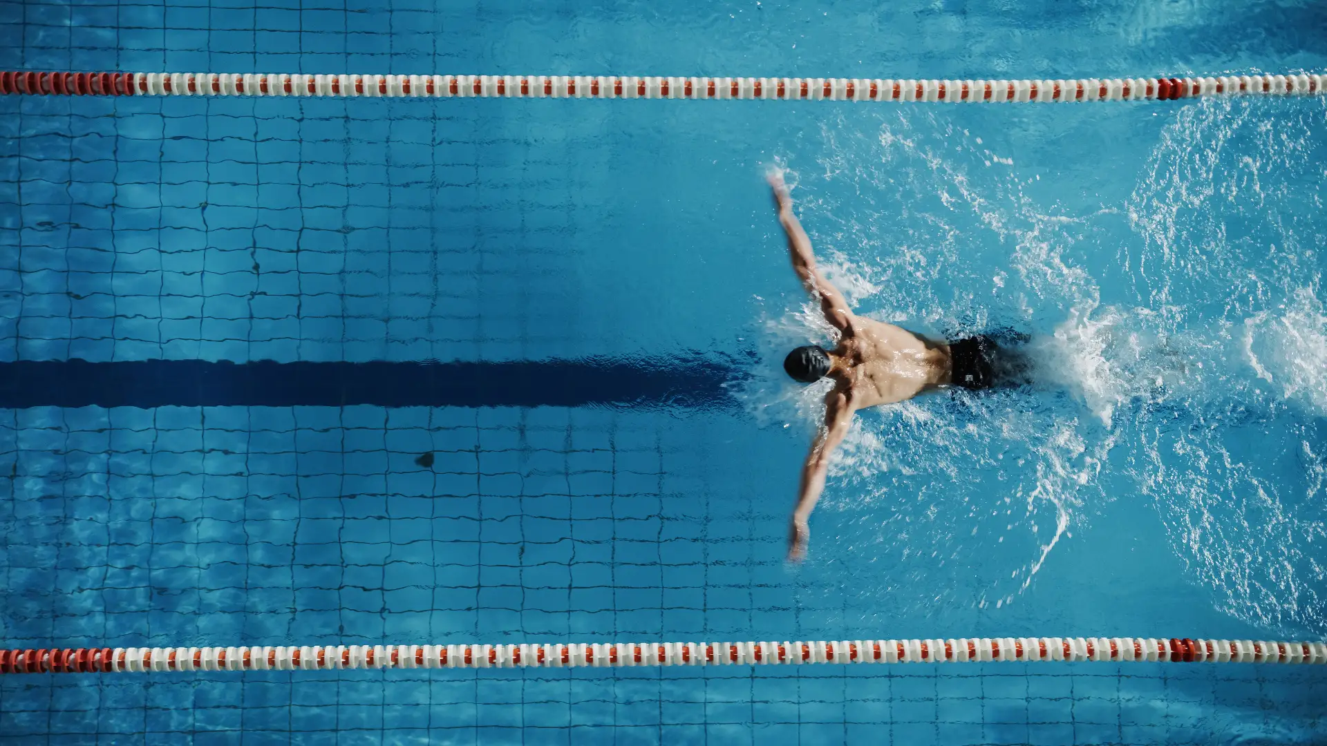 Ein Schwimmer im Schmetterlings Stil auf einer Sportbahn